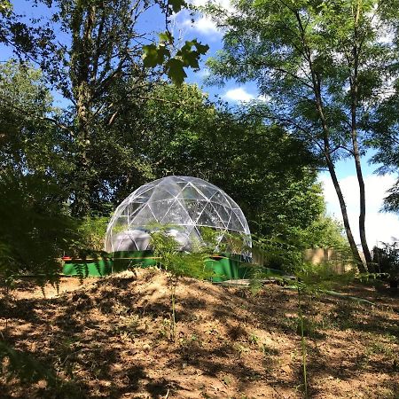 Bulle Etoilee En Nature Landaise Saint-Sever  Exterior photo